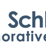 Barbra-Schlifer-logo